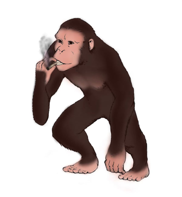 Stoned Ape Nz